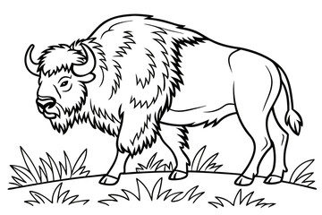 coloring page line art the buffalo black vector