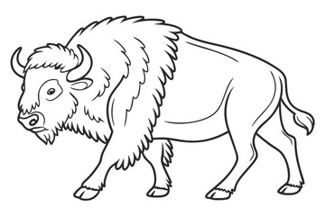 coloring page line art the buffalo black vector