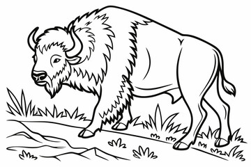 coloring page line art the bison black vector
