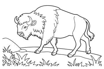 coloring page line art the bison black vector