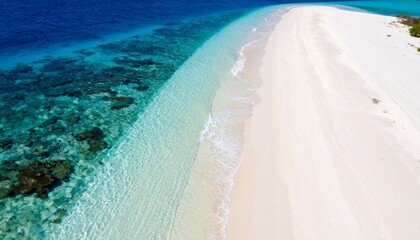 Serene Aerial View of Tropical Beach with Clear Water and Sand