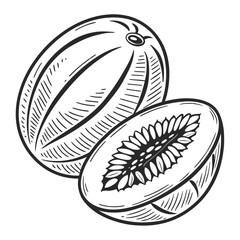 Bean Seed  Vector AI Line Art Food Symbol for Healthy Cooking & Nutrition Design
