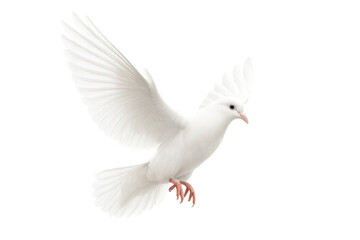 Elegant white dove in flight with wings spread, isolated on transparent background.