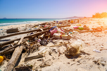 Efforts to clean up area critical ecosystem storm. Public city beach shows significant pollution...