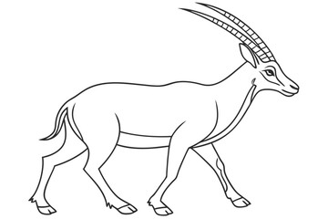 coloring page line art the antelope black vector