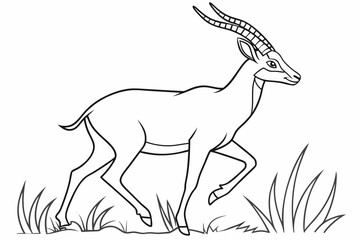 coloring page line art the antelope black vector