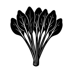 Fresh spinach leaves vegetable healthy food organic nutrition silhouette