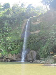 waterfall in the forest