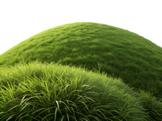 A detailed botanical close-up of a rounded grassy hill. The image focuses on the natural texture of lush green grass, capturing each blade with photographic precision. The hill sits alone against a pu