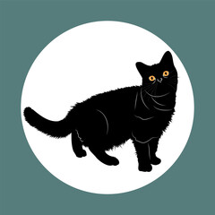 Black Cat with Piercing Orange Eyes