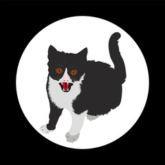 Black Cat with Piercing Orange Eyes