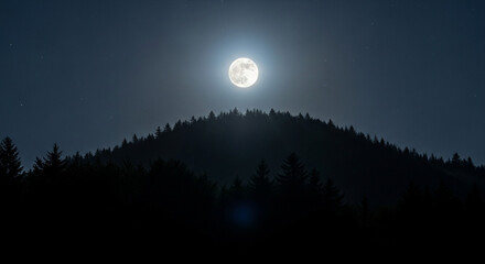 Fototapeta premium Full moon over forest at night scenic landscape nature photography wallpaper