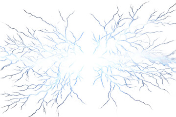 Abstract digital branches emanate from a central reflection point on a black backdrop creating an elegant, stylized design, transparent background