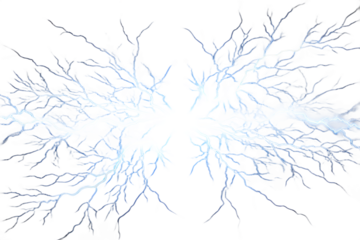 Abstract digital branches emanate from a central reflection point on a black backdrop creating an elegant, stylized design, transparent background