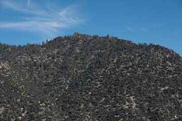 Landscape Nature California USA