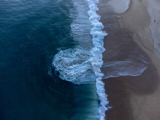 jellyfish on the beach