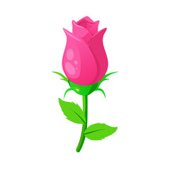 Pink Rose Bud Vector Graphic Illustration for Design Projects