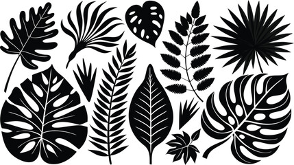 Silhouette Leaf Collection: A collection of diverse tropical leaves elegantly silhouetted, perfect for adding a touch of botanical flair to any design.