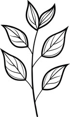 Botanical Line Art: Simple yet elegant botanical line art features a stylized branch with leaves, perfect for illustrating natural themes and design elements.