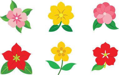 Obraz premium Phlox Flower Color Vector Illustration 