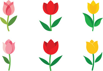 Tulip Flower Color Vector Illustration
