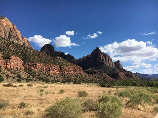 Fototapeta premium Zion National Park - Utah
