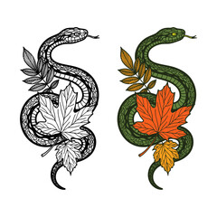 snake coiled around autumn leaves, tattoo design, black and colored sketch
