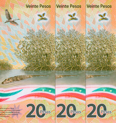 20 Pesos of Mexico with the image of a crocodile and a chocolate heron in the Sian Ka'an Biosphere...