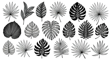 Collection of Tropical Leaves Black and White Illustrations