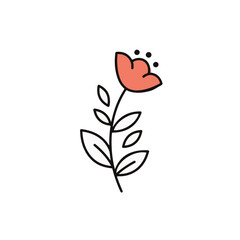 A simple and elegant flower.