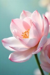 Unfurling Pastel Blossoms Delicate Floral Close-up, Serene and Ethereal, Perfect for Spa, Wellness, and Beauty