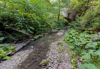 A shallow riverbed with an exposed rocky bottom , a small stream and a flow of water in nature