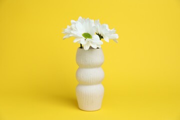 Beautiful white chrysanthemum flowers in vase on yellow background