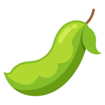 Lima Bean  vector in AI format ideal for food, nutrition, vegan, and organic design projects.