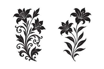 Lily flower silhouette with white background