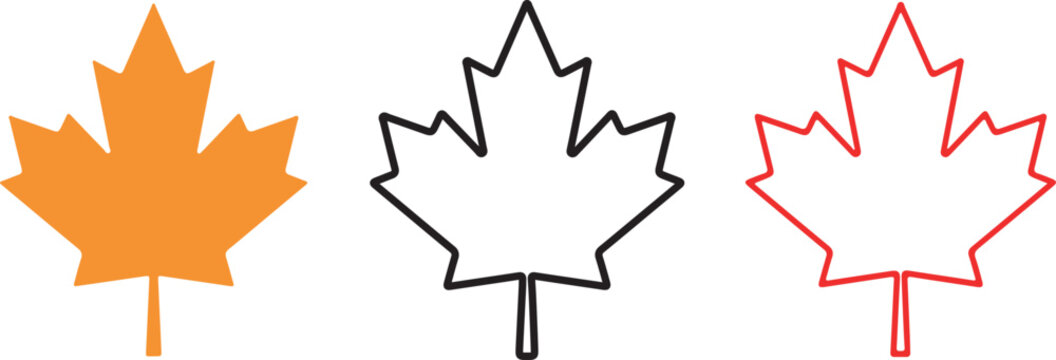 Three stylized maple leaf illustrations showcasing varied colors and outlines on a white background