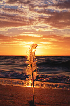 sunset on the beach with feather