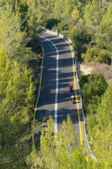 Bikers on a Forest Road
