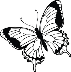 Stylized side-view butterfly line art illustration in black and white for adult coloring books, printable vector designs, and educational nature materials, Side view butterfly outline