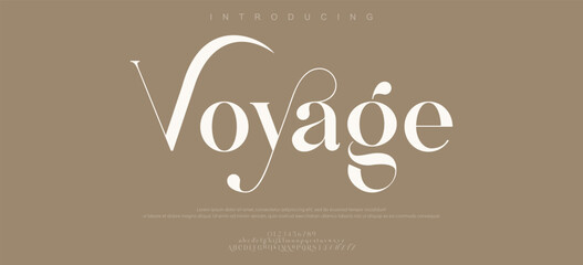 Voyage Font Uppercase Lowercase And Number. Classic Lettering Minimal Fashion Designs. Typography modern serif fonts regular decorative vintage concept. vector illustration