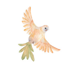 Yellow budgerigar in flight watercolor illustration isolated on white. Hand painted tropical parakeet with spread wings. Flying parrot drawing for pet brands, nursery decor, and exotic bird designs.