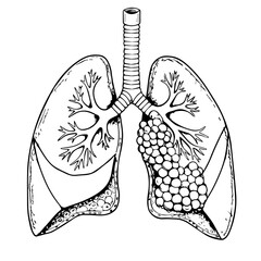 Lung cancer representation in black and white, depicting affected lungs with tumors. Visualizing lung cancer as a health concern, and lungs with tumors that illustrate disease progression.