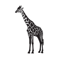 Naklejka premium Stylized black and white giraffe silhouette with distinctive markings isolated on white background Art & Illustration