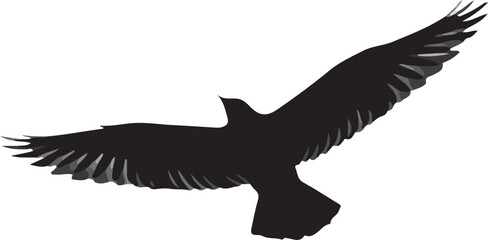bird flying  on white background Flying Eagle Silhouette – Bold Soaring Bird Vector