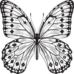 Elegant Butterfly Line Drawing – Minimal Nature Sketch butterfly vector illustration