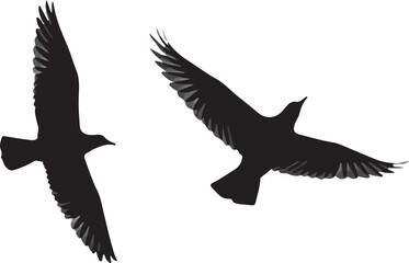 Bird Silhouette Clipart – Soaring Flying Bird Vector eagle flying in the sky