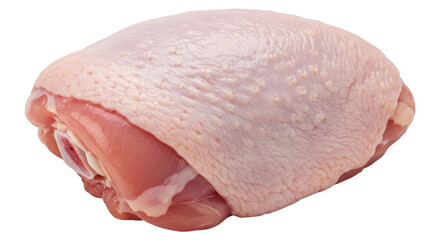 Isolated Raw Turkey Thigh