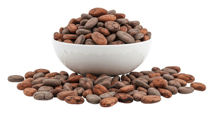 Isolated Bowl of Cocoa Beans