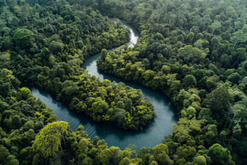 Winding river weaving through lush tropical rainforest canopy