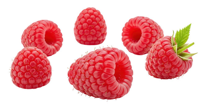 Isolated fresh raspberries